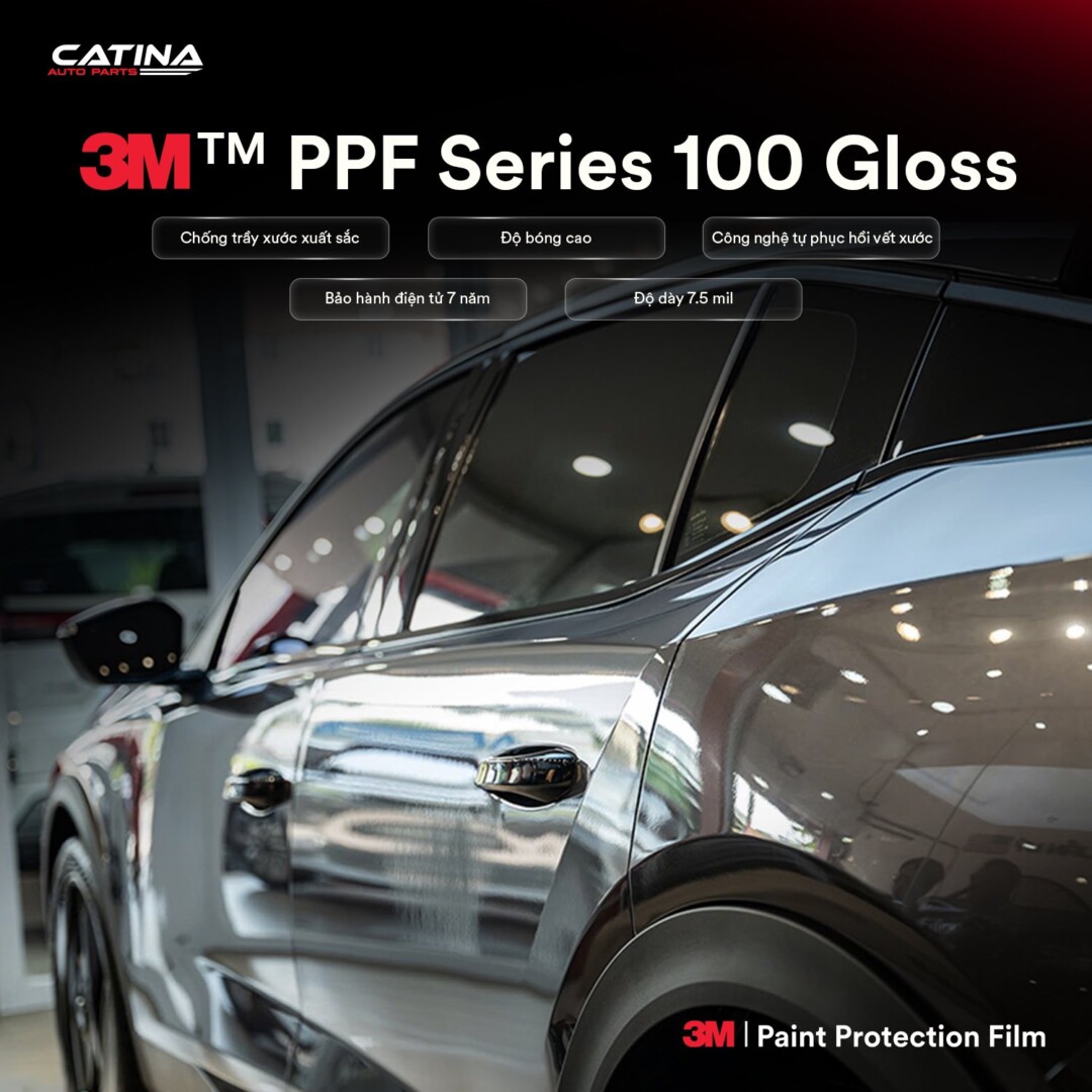 Ppf 100 Gloss 3