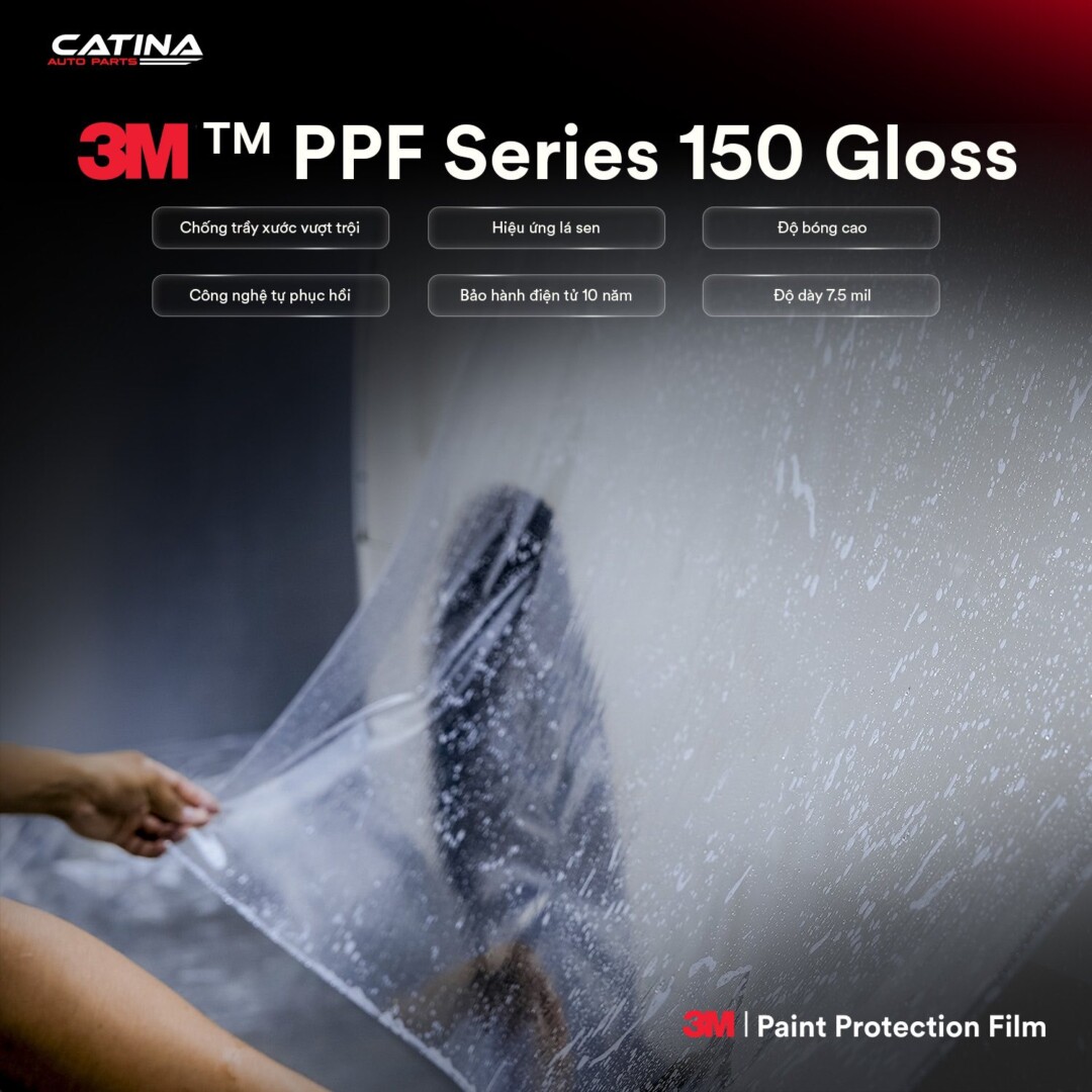 Ppf 3m 150 Gloss 5