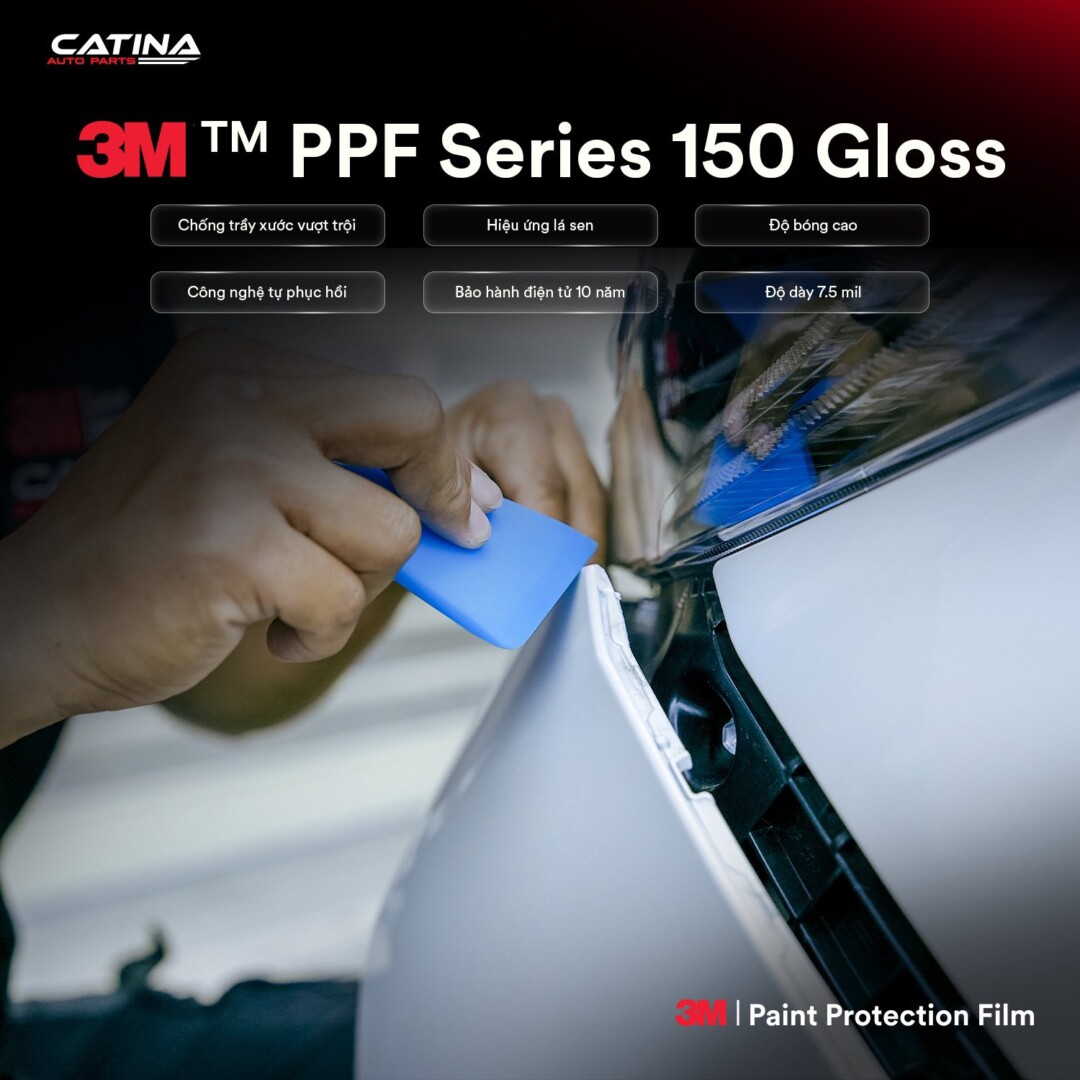 Ppf 3m 150 Gloss 6