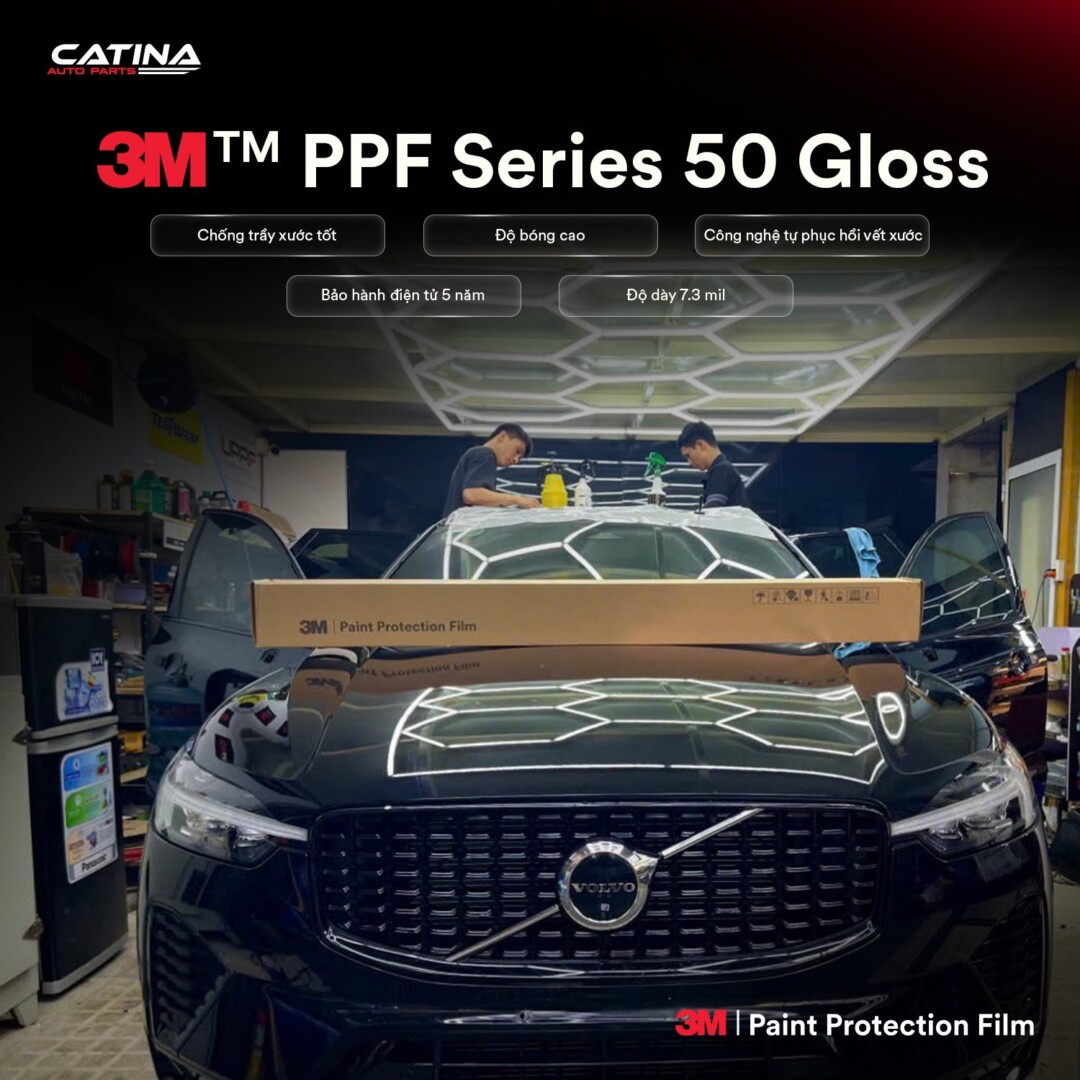 Ppf 50 Gloss 1
