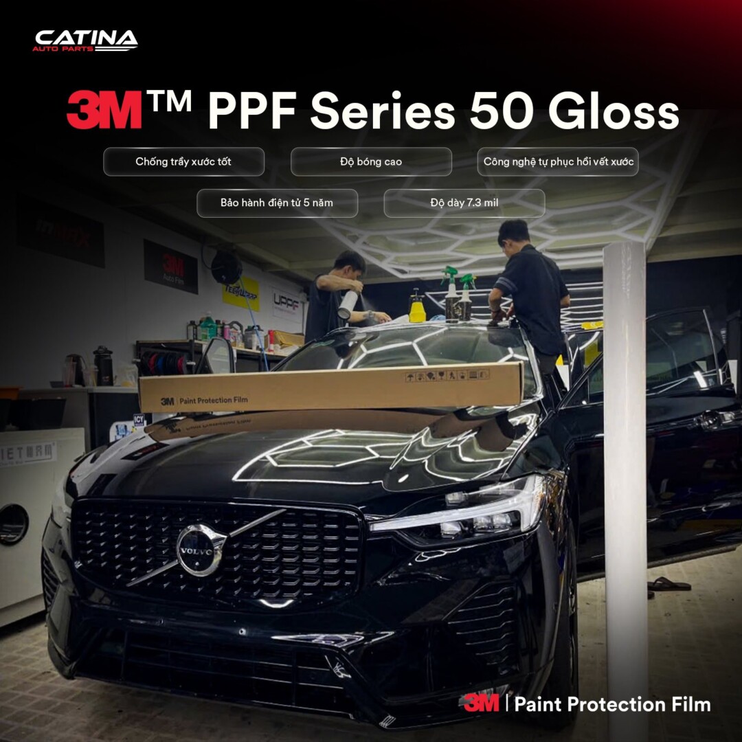 Ppf 50 Gloss 3