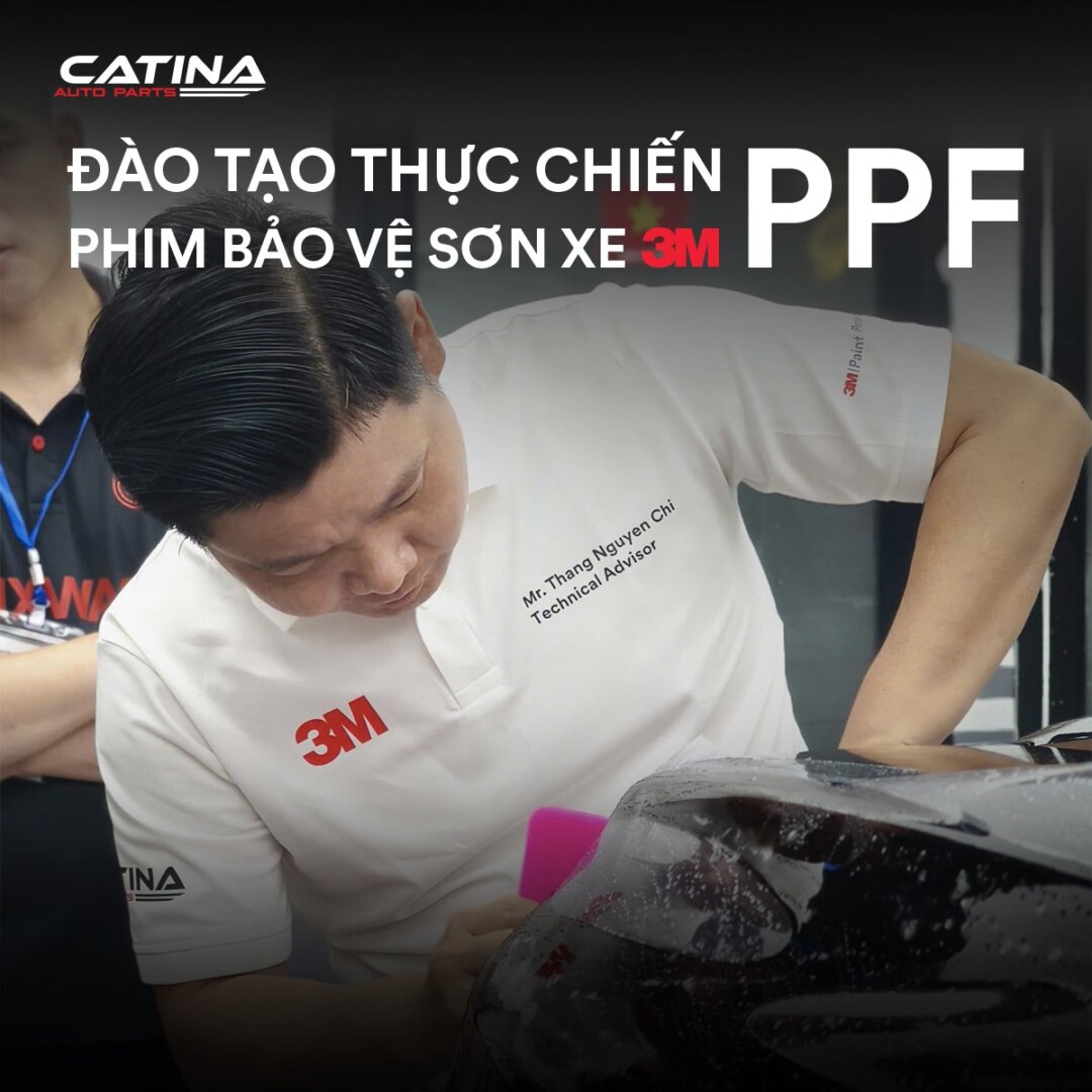 Đào Tạo Ppf 6