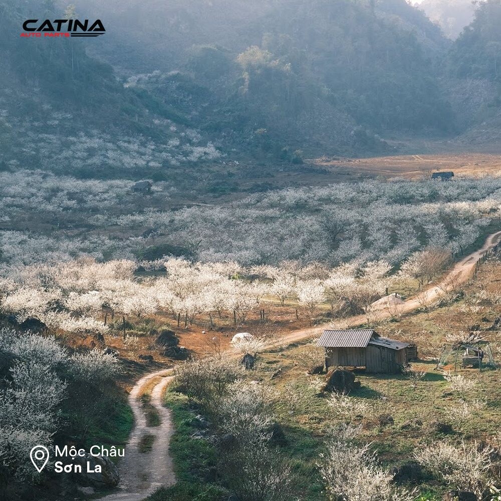 Roadtrip Miền Bắc Đầu Năm Chuẩn Bị Chiếc Xe Hoàn Hảo Với 3m 4