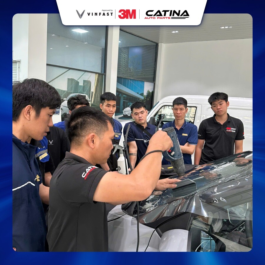 đào Tạo Vf